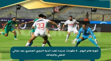 تنويه هام اليوم.. 8 عقوبات جديدة تهدد أندية الدوري المصري بعد نجاتي الأهلي والزمالك